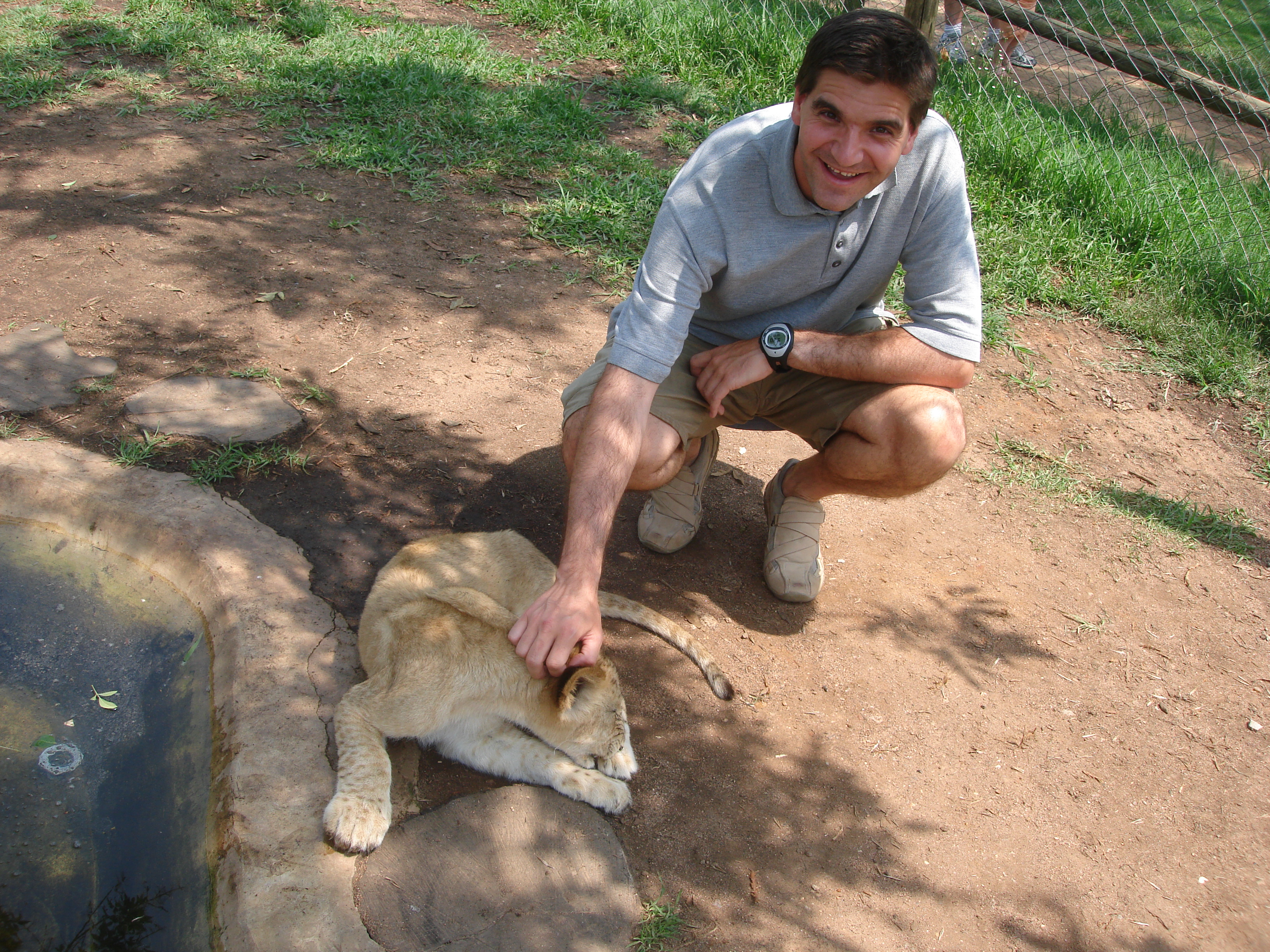 Michael Weilguny Süd Afrika mit Löwe